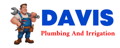 Trusted plumber in STRAWN